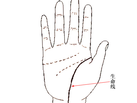 生命线分叉图解大全(图1)