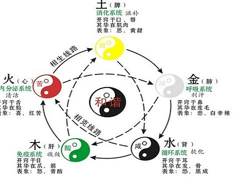 十二生肖五行属性大全 十二生肖五行相生相克(图1)