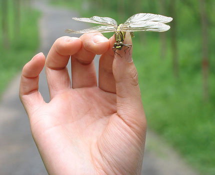 手相看手上各个部位有痣的寓意(图1)