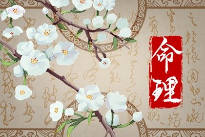 八字命理  丁丑日元生在子月 子月出生以甲木为尊