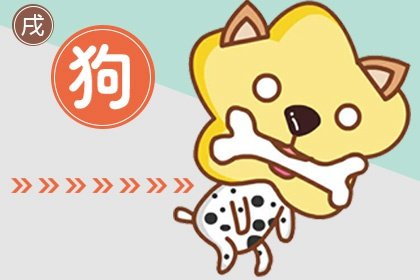 狗和猪在一起合不合 平时相处矛盾多