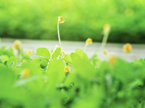 面相捷径诗赋之阅人生百态（下）(图1)