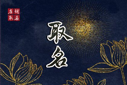 ‍鼠爸爸和狗妈妈生虎宝宝好不好 有助家庭团结