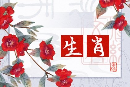 到了11月下旬,4属相吉星照耀,越努力越幸运