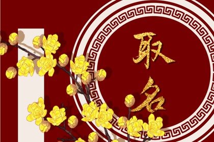 2022虎年生的宝宝怎么取名 八字命理详解