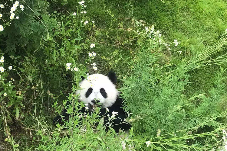 月亮处女男爱的体现 完完全全的掌控欲