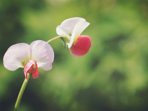 《许负相法》之节选十四篇讲解