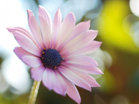 《相学分类释疑》节选分享大全