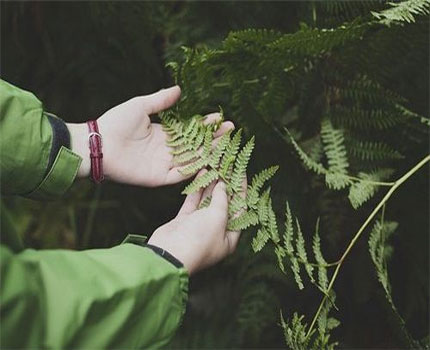 手相长短薄厚大小教你识破人情世故