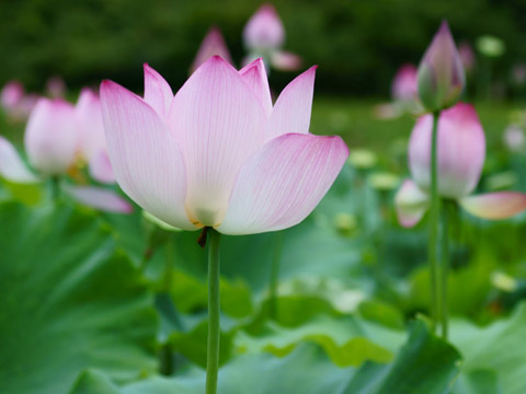 超准又简单的面相术杂论（上）